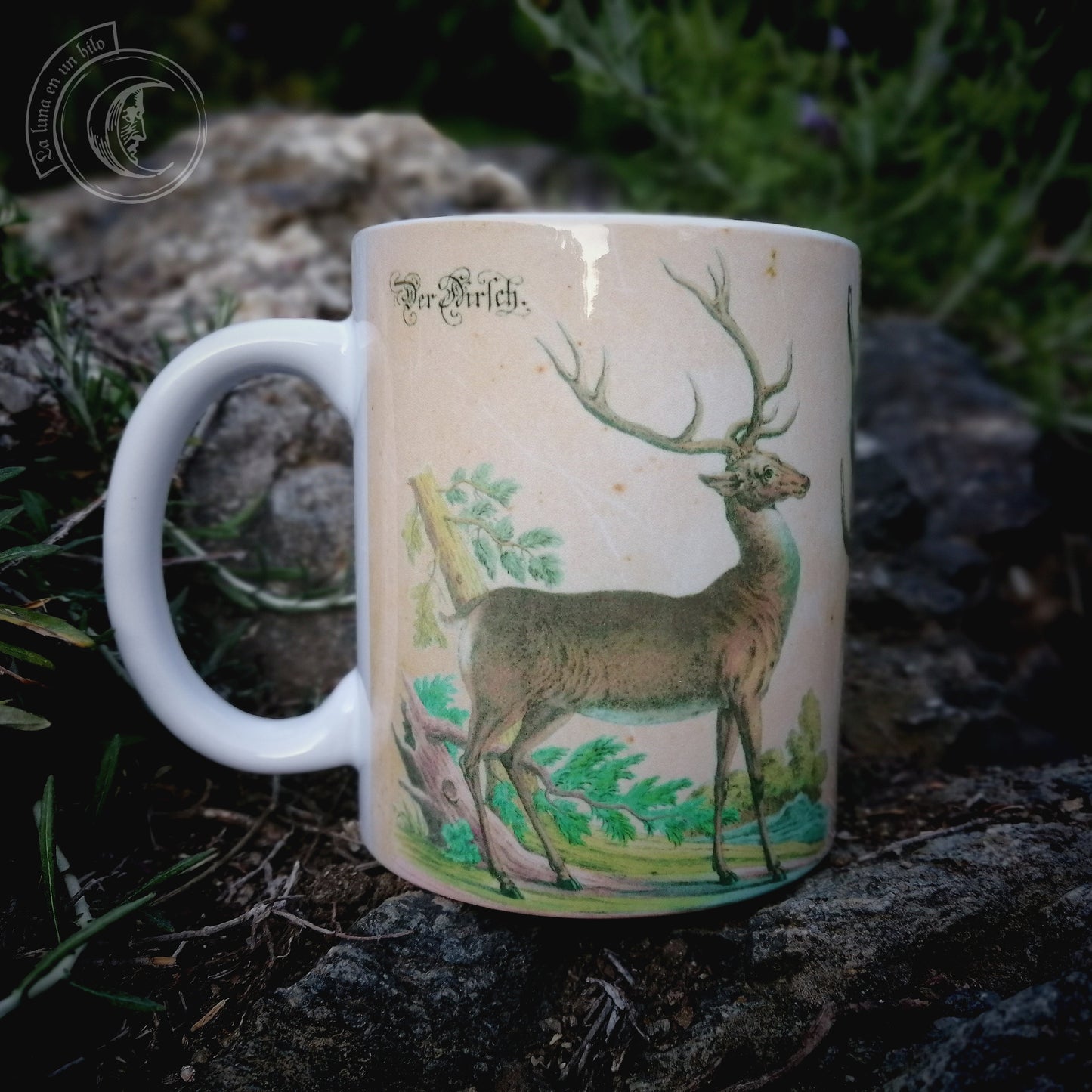 Vintage ceramic mug 11 oz - Deer Anatomy -