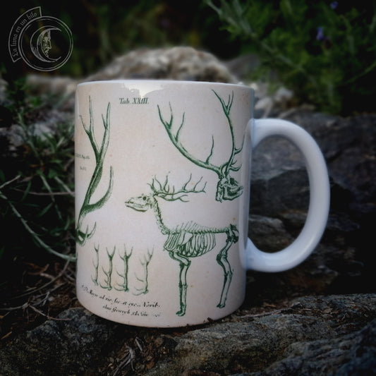 Vintage ceramic mug 11 oz - Deer Anatomy -