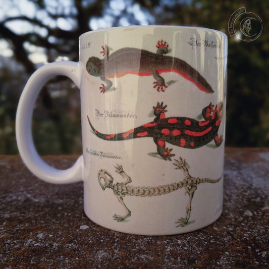 Vintage ceramic mug 11 oz - Lizard Anatomy -